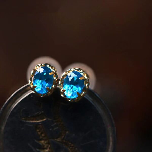 Blue S925 sterling silver apatite earrings temperament fashion everything career energy success